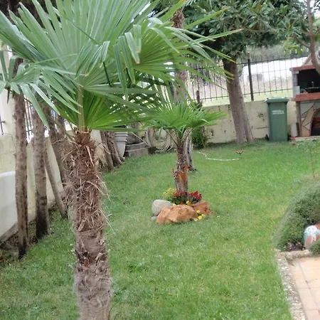 George Garden ネア・ミカニオーナ