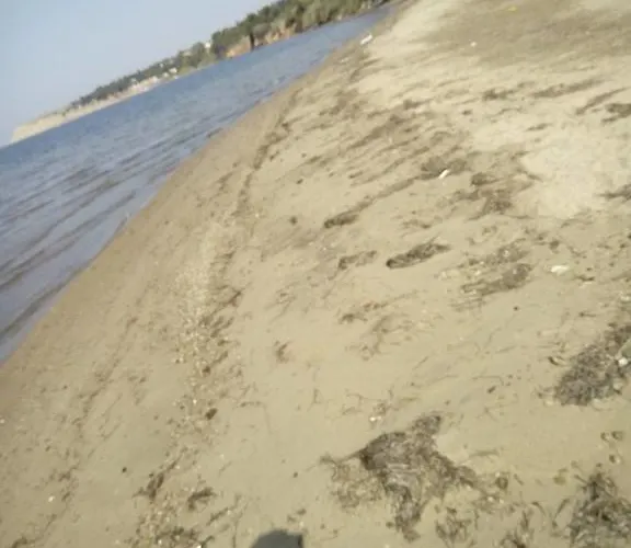 George Garden 公寓